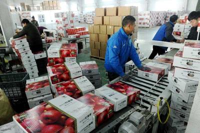 國家林草局組織產銷對接助力林業復產復工，暢通產品銷售渠道